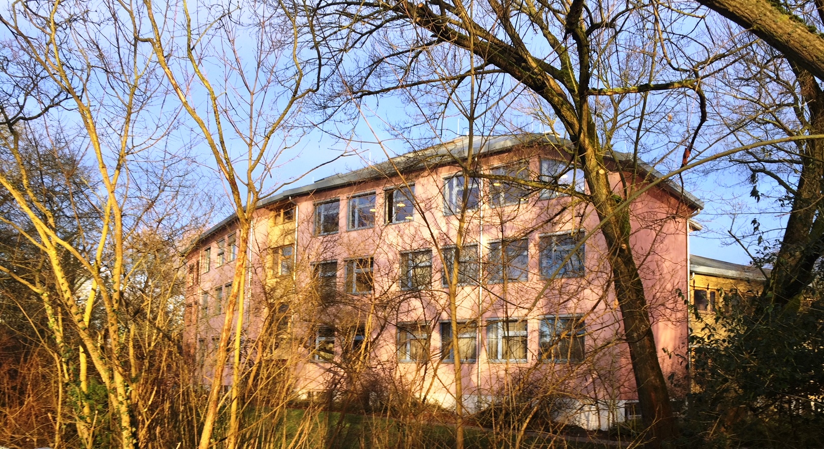 Unsere Schule Freien Waldorfschule Mannheim